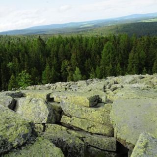 Die Platte (Schneeberg) bei Tröstau - Die Platte bei Tröstau in der ErlebnisRegion Fichtelgebirge
